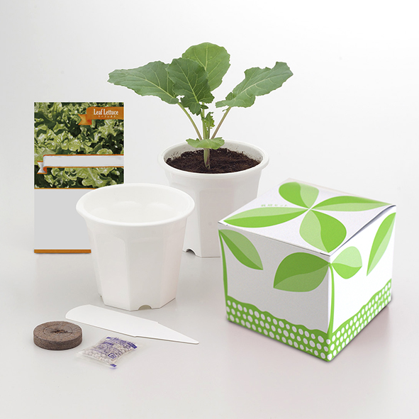 東京優芳園｜魔法の土®と種子セット