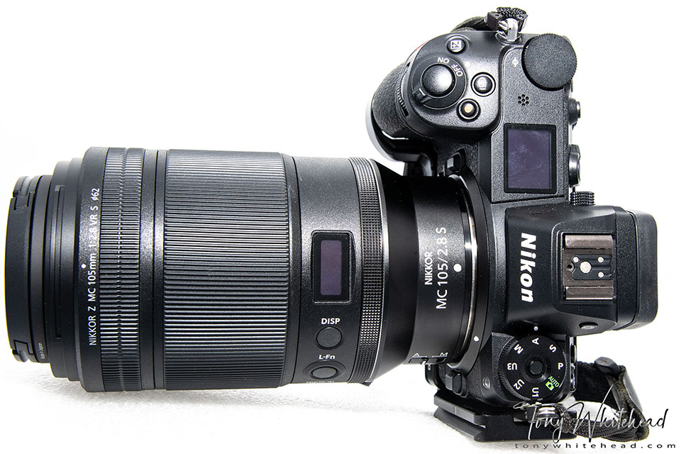 Nikkor Z MC 105mm f2.8 - First Impressions Review - WildLight
