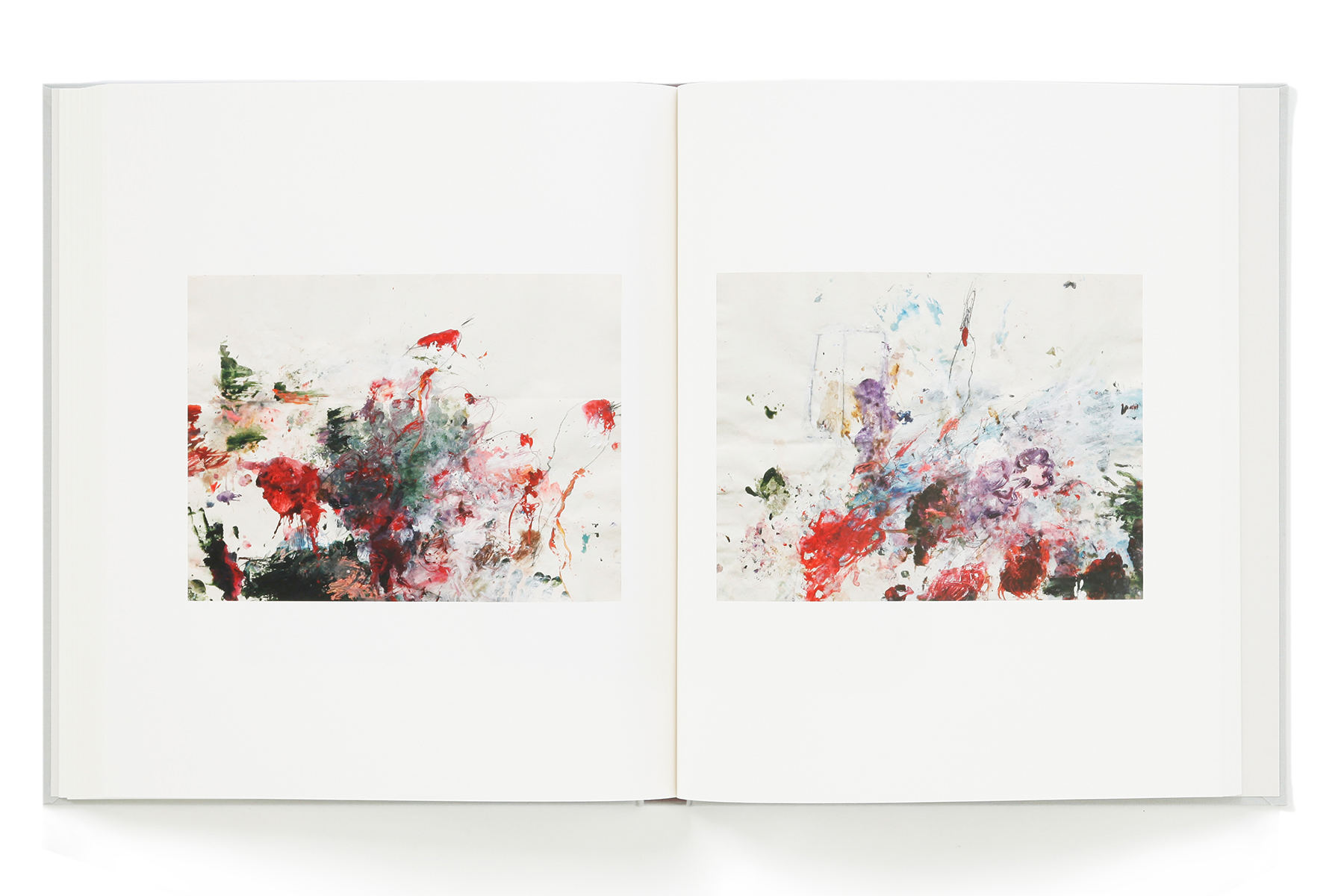 Cy Twombly Photographs: Lyrical Variations – torch press
