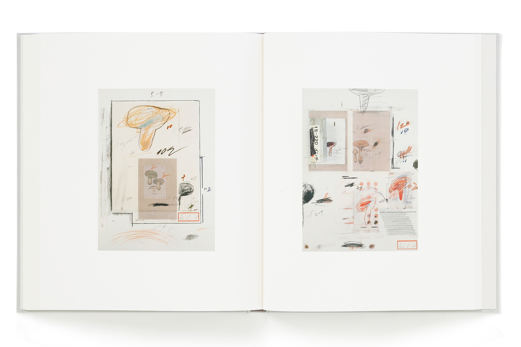 Cy Twombly Photographs: Lyrical Variations – torch press