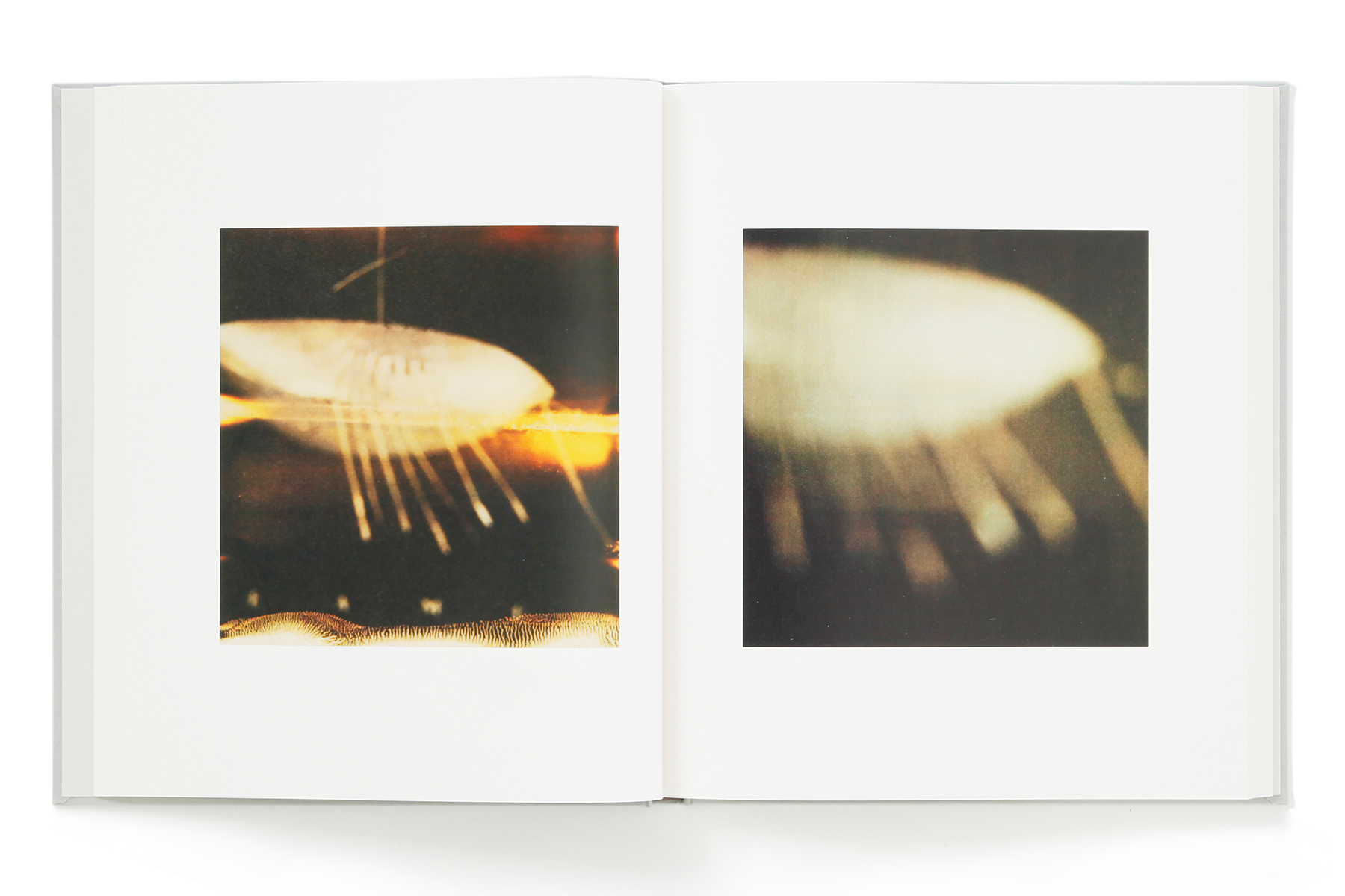 サイ・トゥオンブリーの写真 －変奏のリリシズム－ – torch press