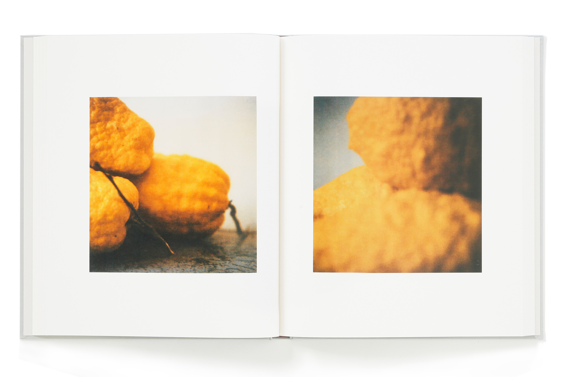 卵さま専用】サイ・トゥオンブリーの写真 変奏のリリシズム Cy Twombly