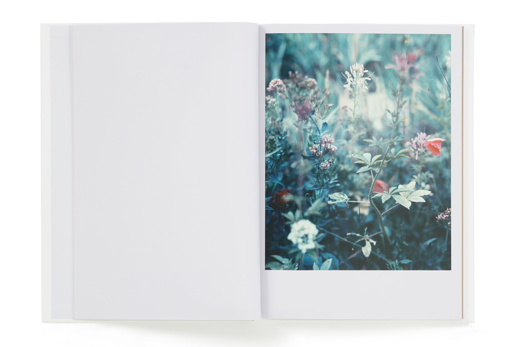 The Civil Dawns – torch press