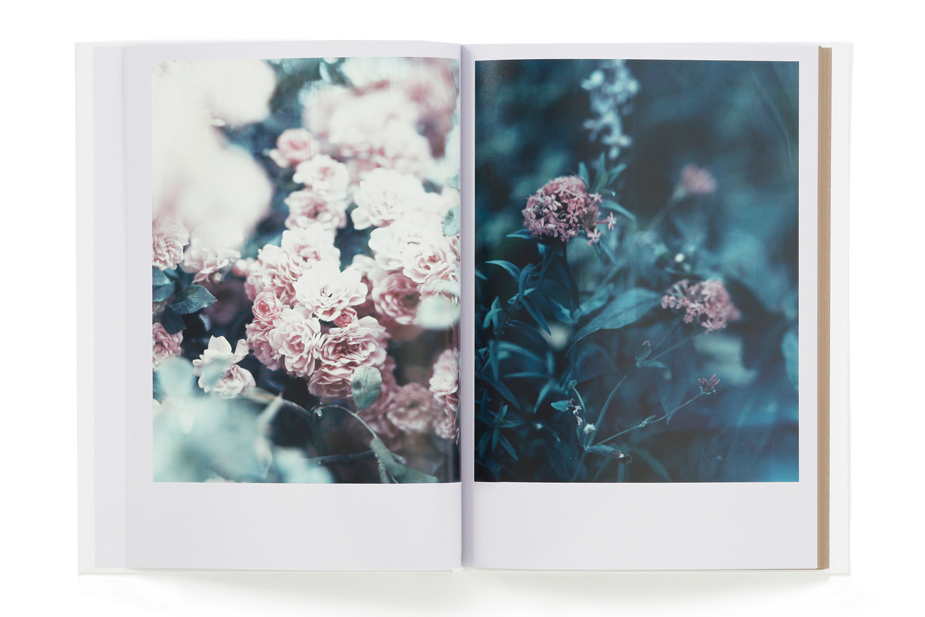 The Civil Dawns – torch press