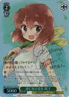 カードを買う/ヴァイスシュヴァルツ/2025年度作品/きんいろモザイク