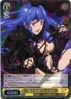 カードを買う/ヴァイスシュヴァルツ/【S】シュヴァルツサイド（2012年