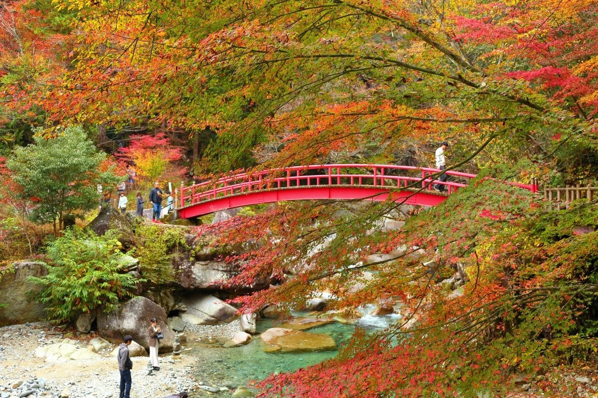 城跡＆清流の絶景でリフレッシュ！宿場町散策でグルメも満喫！岐阜県