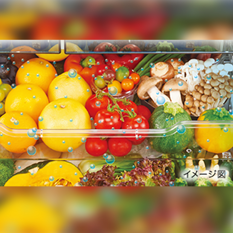 GR-U510FH | 冷蔵庫 | 東芝ライフスタイル株式会社