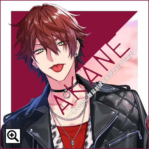 DIG-ROCK（ディグロック）｜Mintlip