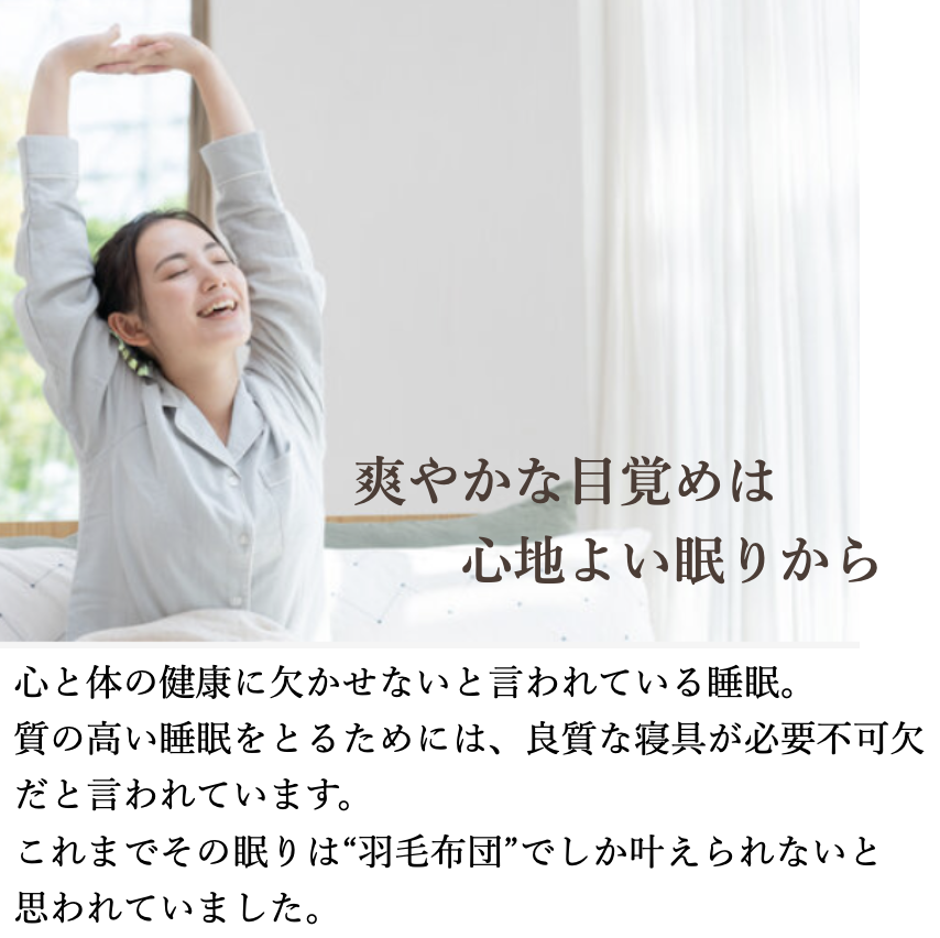 ミクロガード® スタンダード×エアーフレイク® 2枚合わせの掛布団｜寝具