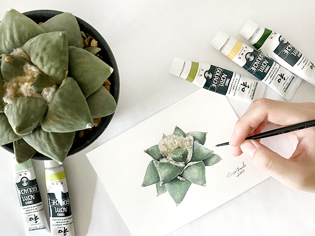 Botanist41ボタニカルアートに込めた植物への思い - NOEVIR BOTANICAL