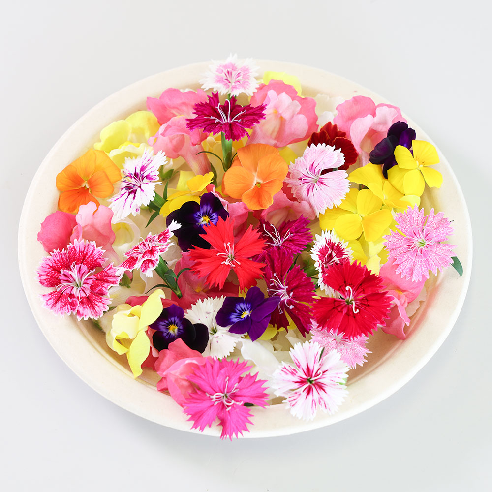 おすすめ】エディブルフラワーセット（おまかせ5袋入） | 立山やさい工房