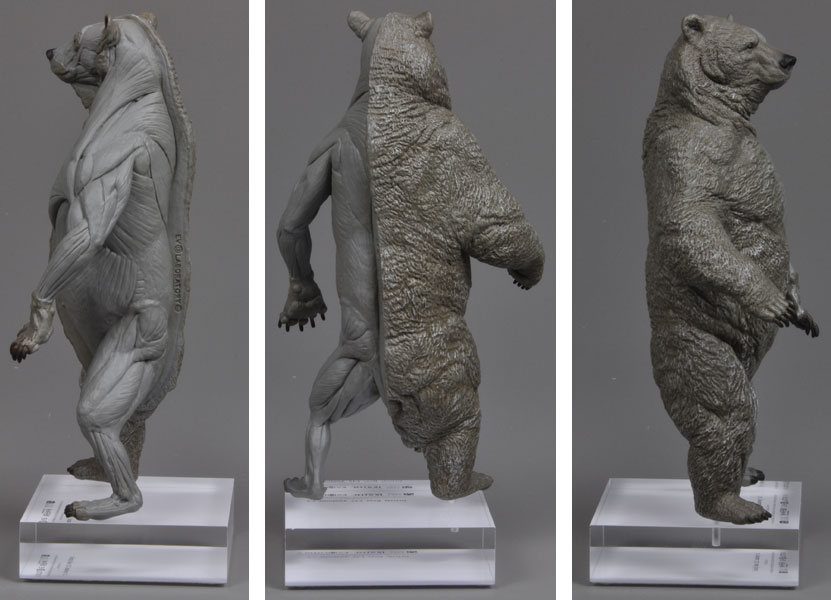 Bauer Handels GmbH - Models