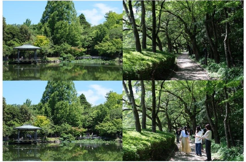 論文/地域 | 富山大学芸術文化学部