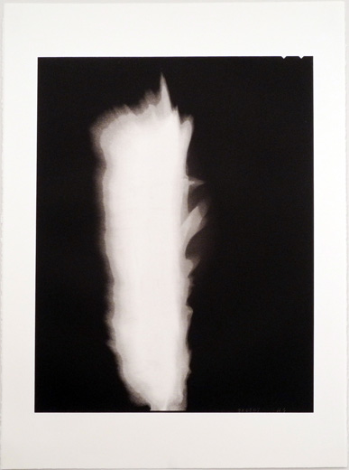 杉本博司,Hiroshi Sugimoto|@GALLERY TAGBOAT