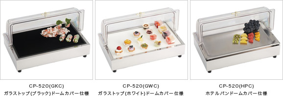 CP-520 - タイジ株式会社タイジ株式会社