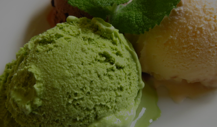 TGM-1000N - タイジ株式会社タイジ株式会社