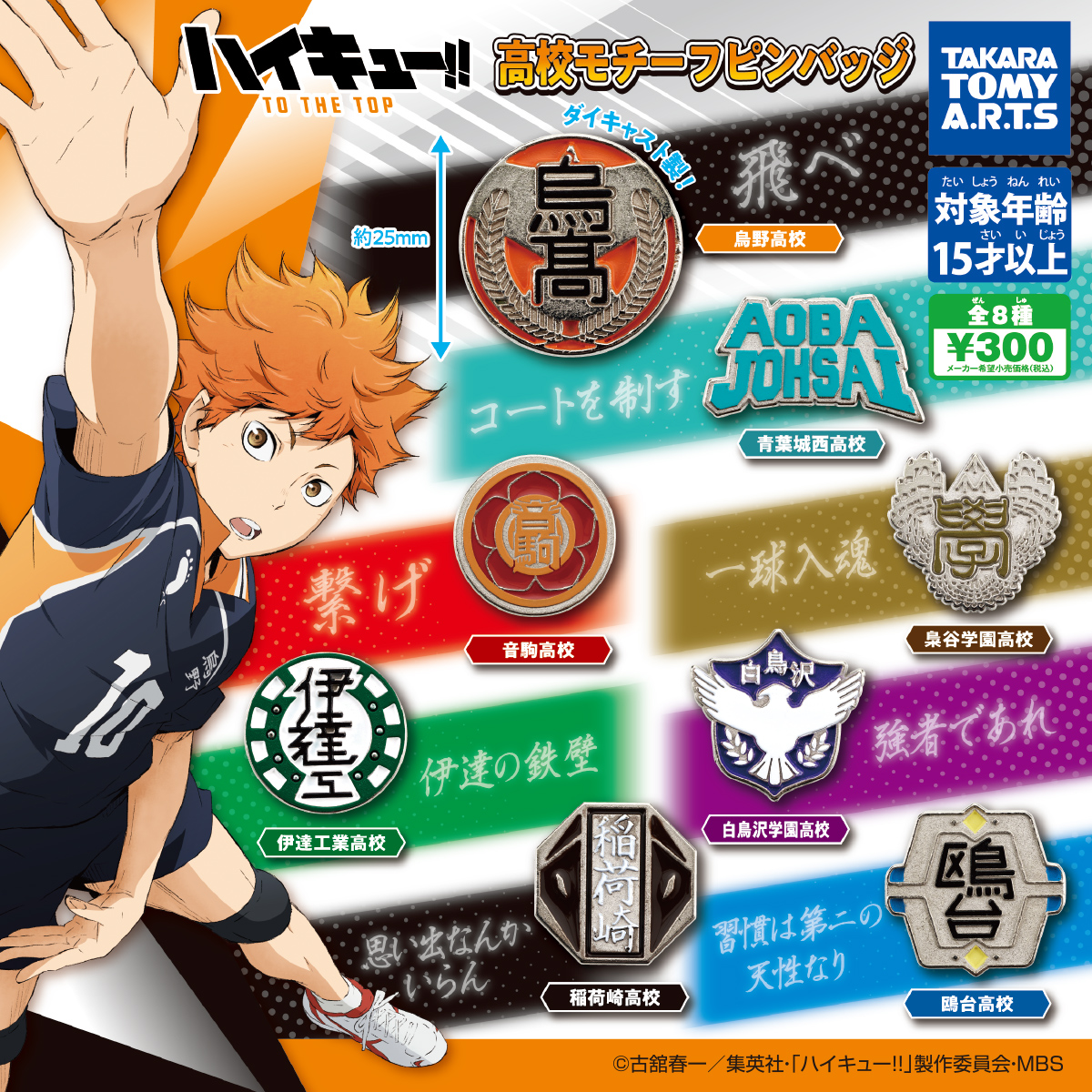 ハイキュー!! TO THE TOP 高校モチーフピンバッジ｜商品情報｜タカラ