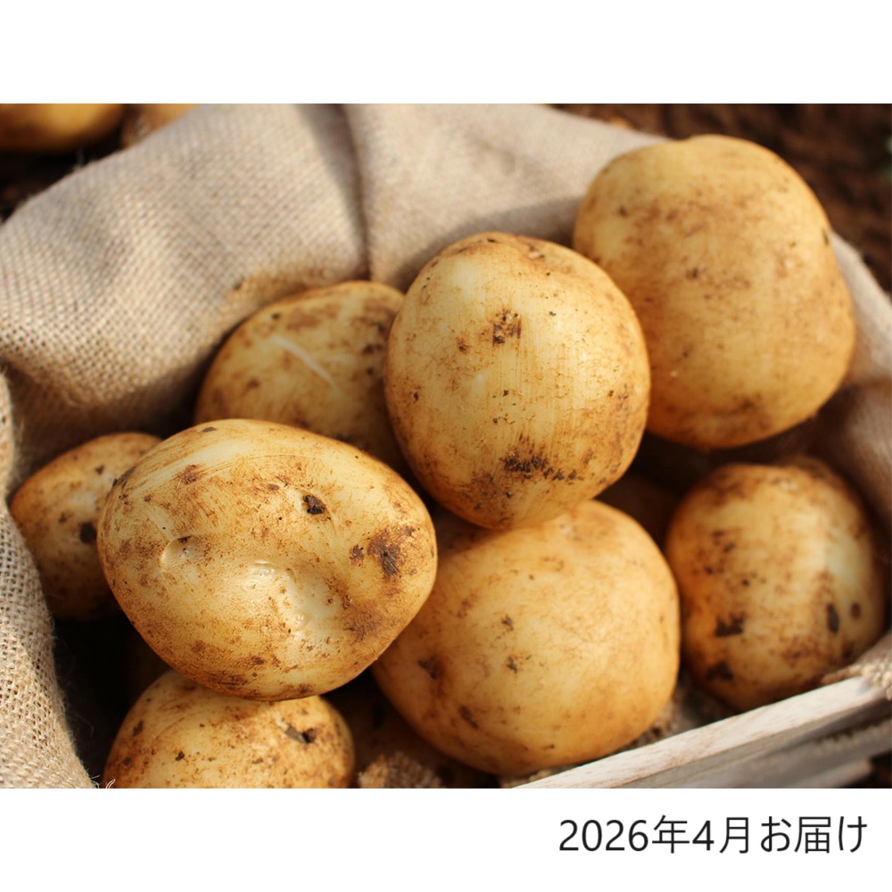 定期便】こだわり旬野菜BOX 3カ月コース（3月～5月お届け） | 商品詳細