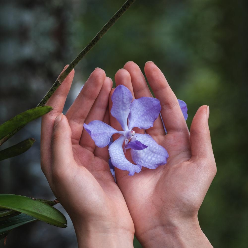 GUERLAIN（ゲラン） オーキデ アンペリアル ザ ロンジェビティ リッチ