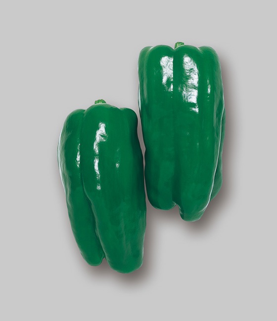 京ひかり ピーマン ｜ 品種カタログ ｜ タキイの野菜【タキイ種苗】