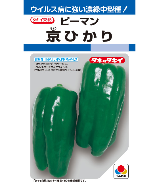 京ひかり ピーマン ｜ 品種カタログ ｜ タキイの野菜【タキイ種苗】
