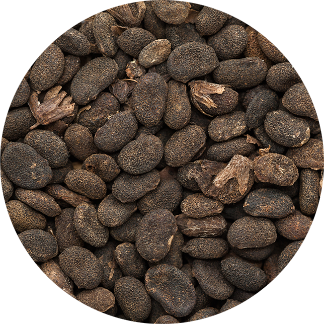 モイスチュアリペア エッセンス エクセレント | TAMAHANA | 珠花