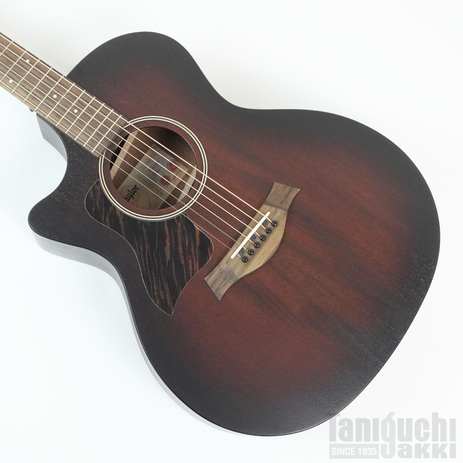 Fender Newporter Player Left-Handed - 谷口楽器