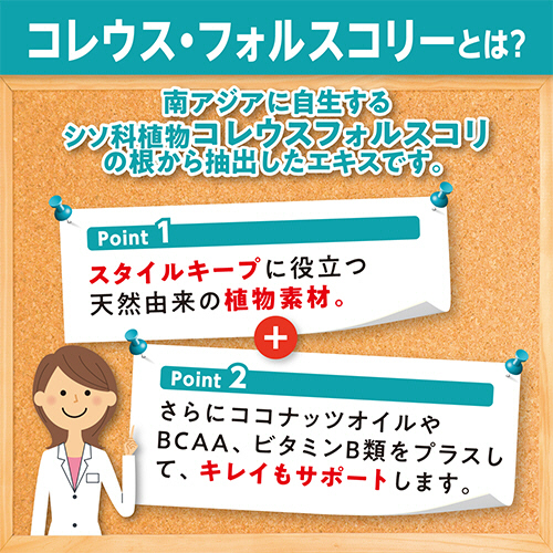 たのめーる】DHC フォースコリー ソフトカプセル 20日分 1個(40粒)の通販