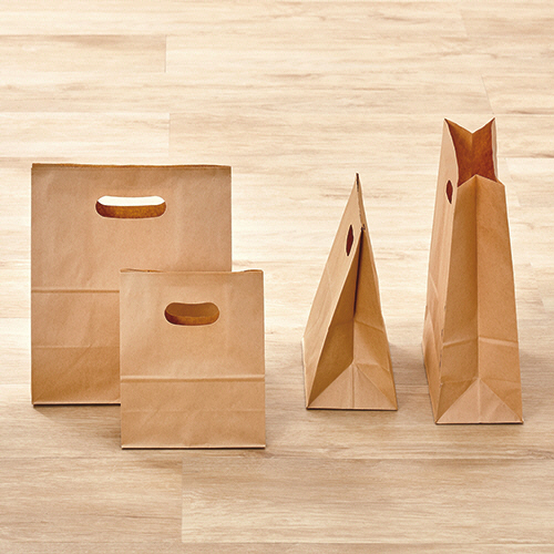 たのめーる】パックタケヤマ 手提げ紙袋 イーグリップ 茶無地 LL