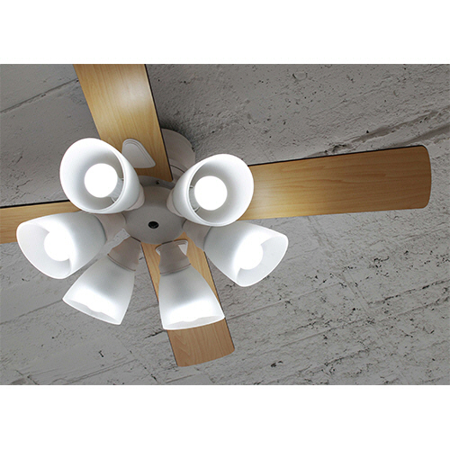 たのめーる】ライフオンプロダクツ シーリングファン Windouble 6灯