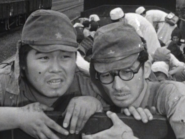 図々しい奴 コレクターズDVD 【昭和の名作ライブラリー 第60集】 | TC