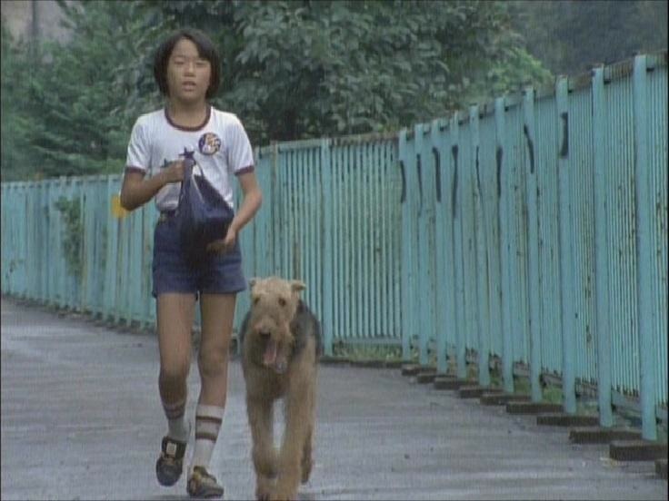 昭和の名作ライブラリー 第20集 ふしぎ犬トントン HDリマスター DVD