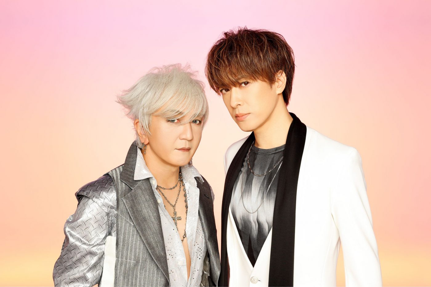 access 30周年のメモリアルかつ約6時間収録の映像BOX。ふたりが語る