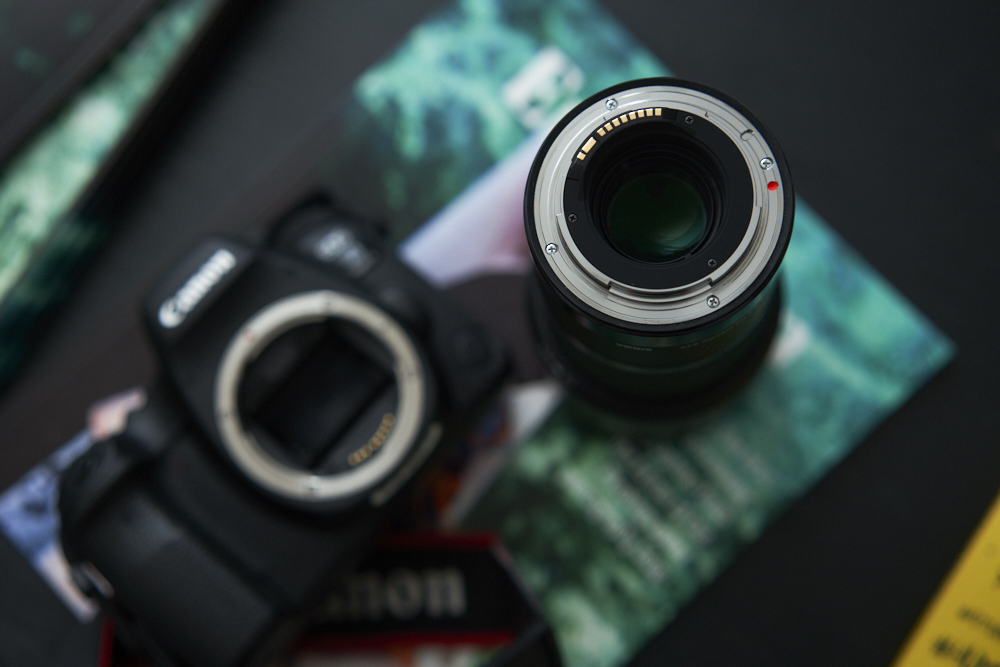 Review: Sigma 70mm f2.8 DG Macro Art (Canon EF)