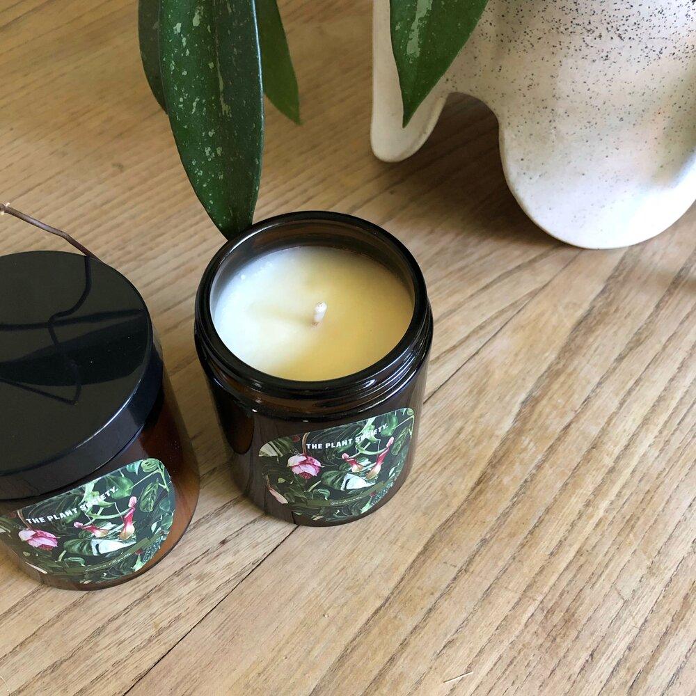 Botanical Candle by The Plant Society ボタニカルキャンドル – THE