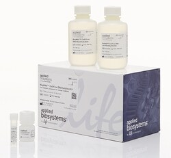 MagMAX™ Cell-Free DNA Isolation Kit 1キット | Contact Us | Applied