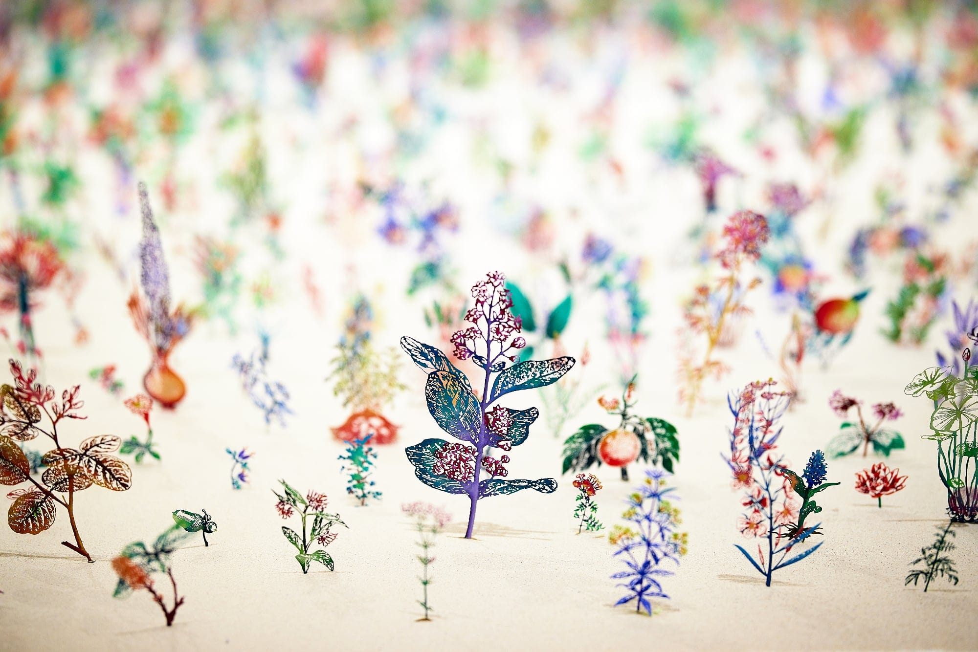 Life and Death Converge in a Field of 17,000 Two-Sided Steel