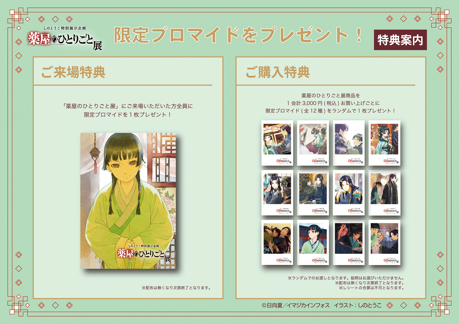 しのとうこ特別展示企画 薬屋のひとりごと展