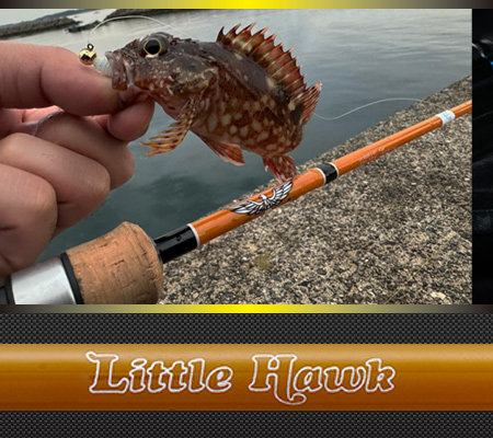 Fenwick フェンウィック ブランドページ | ティムコ