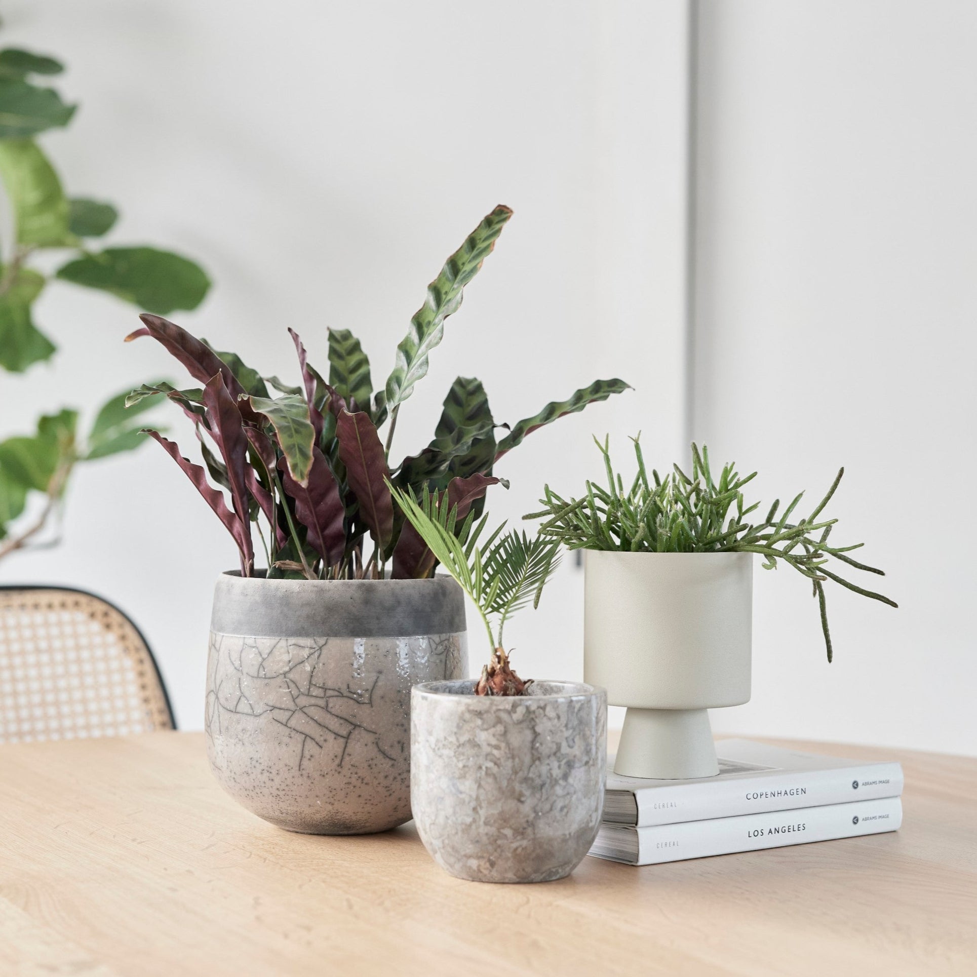 鉢カバー | MINSK POT – tiflo