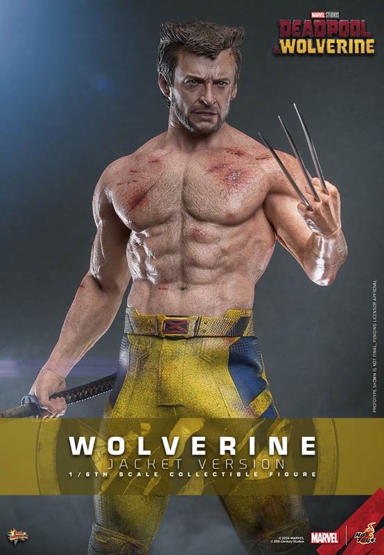 Wolverine (Jacket Version) - Deadpool & Wolverine - Hot Toys