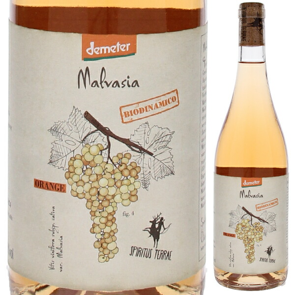 トスカニー イタリアワイン専門店 / スピリタス テッレ マルヴァジア