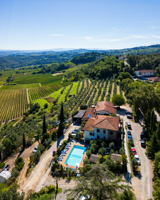 トスカニー イタリアワイン専門店 / ヴェルナッチャ ディ