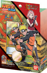 NARUTO－ナルト－ 疾風伝:TV東京