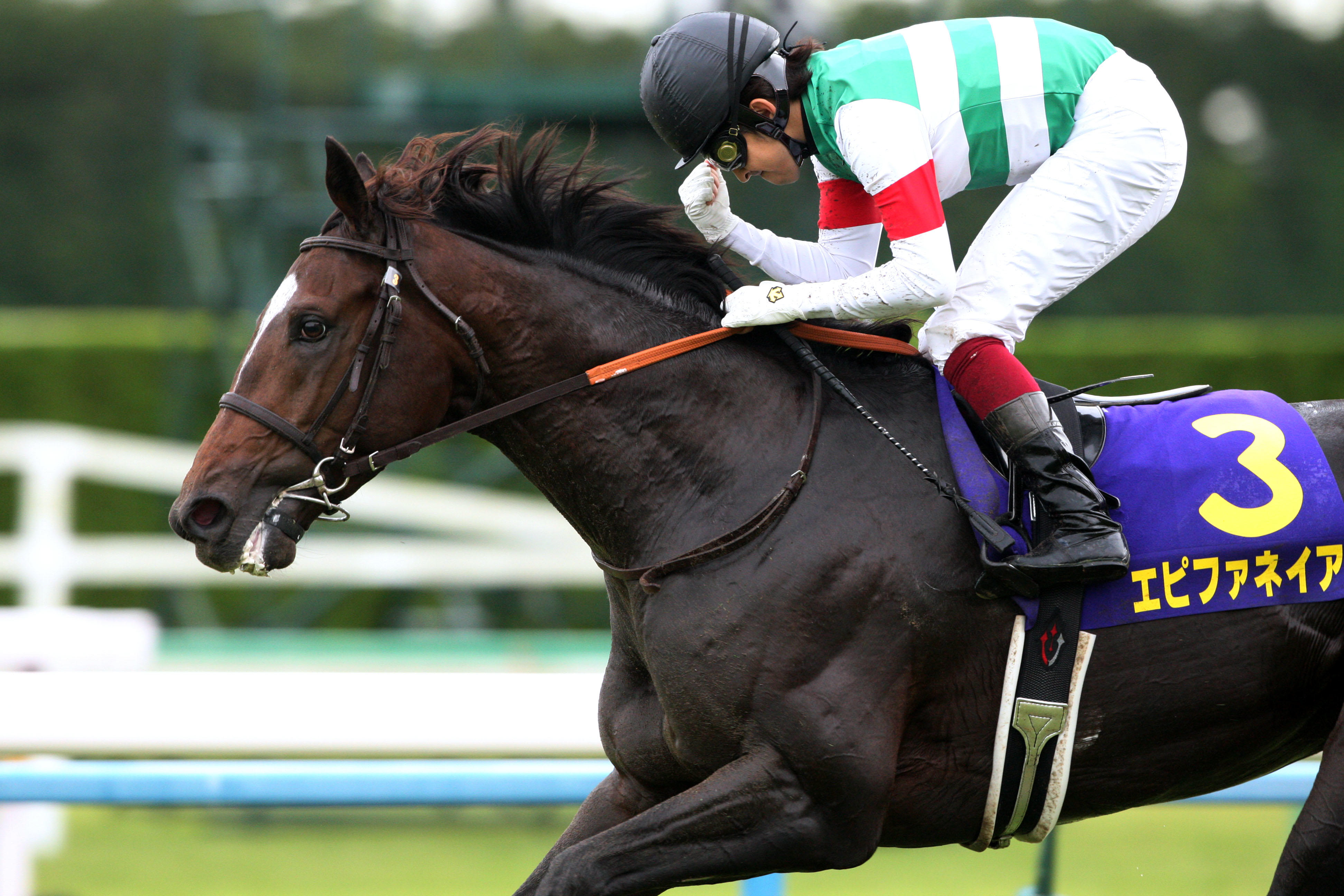 これぞ名手の技！福永祐一の神騎乗レース5選「2013年菊花賞