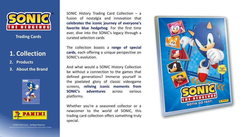 2024 PANINI SONIC THE HEDGEHOG TRADING CARDS STARTER PACK【製品