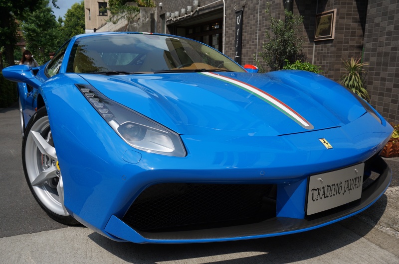 ブルーで凄く美しいカブリモドキ！ ブルーで凄く美しいカブリモドキ！