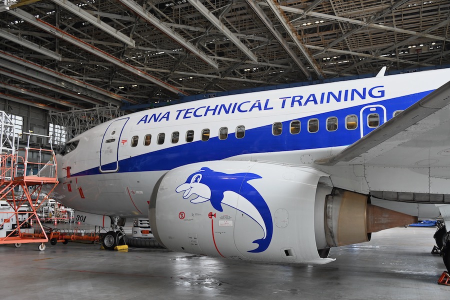 羽田に眠るANAの“TECHNICAL TRAINING”機 その正体は？ - TRAICY