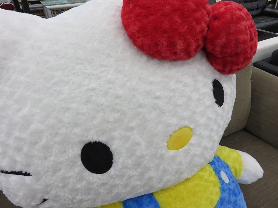 超、巨大！特大キティちゃん入荷！（草加店）｜2016年06月20日